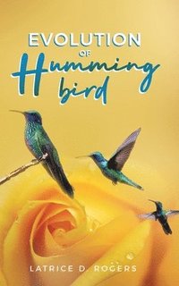 bokomslag Evolution of Hummingbird