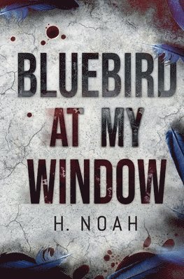 Bluebird At My Window 1