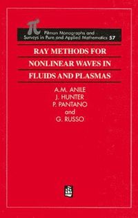 bokomslag Ray Methods for Nonlinear Waves in Fluids and Plasmas