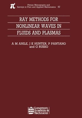 bokomslag Ray Methods for Nonlinear Waves in Fluids and Plasmas