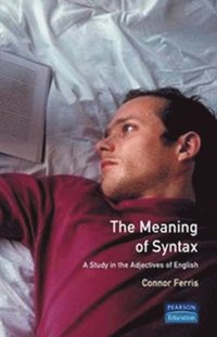 bokomslag Meaning of Syntax