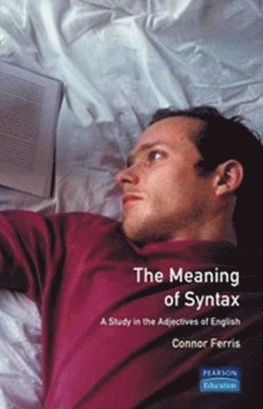 bokomslag Meaning of Syntax