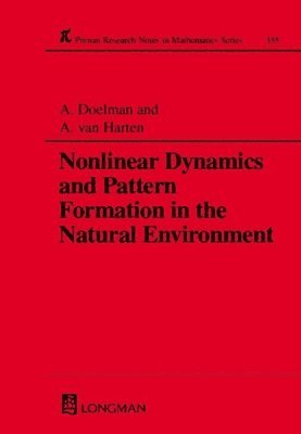 bokomslag Nonlinear Dynamics and Pattern Formation in the Natural Environment