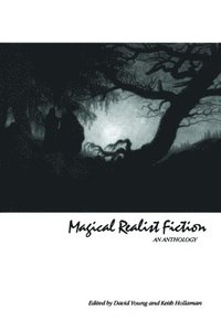 bokomslag Magical Realist Fiction