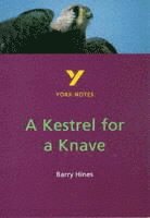 bokomslag A Kestrel for a Knave everything you need to catch up, study and prepare for and 2023 and 2024 exams and assessments