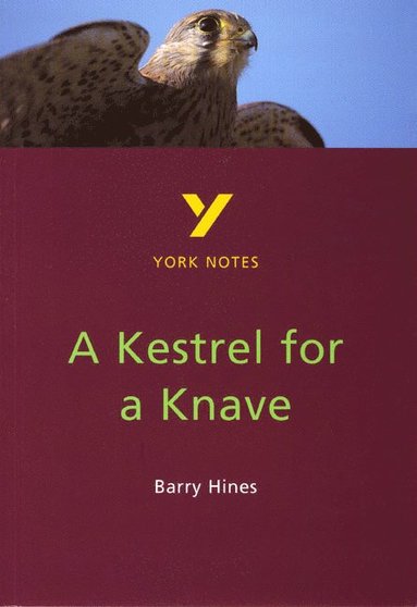 bokomslag Kestrel for a Knave York Notes GCSE English Literature Study Guide - for 2026, 2027 exams