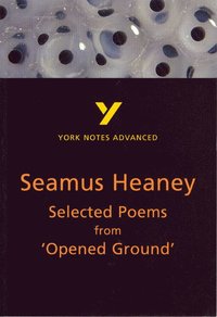 bokomslag Selected Poems from Opened Ground (York Notes Advanced) English Literature Study Guide - for 2025, 2026 exams