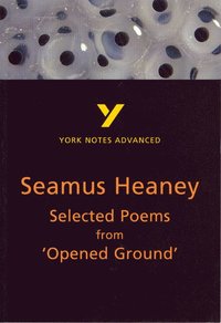 bokomslag Selected Poems from Opened Ground (York Notes Advanced) English Literature Study Guide - for 2026, 2027 exams