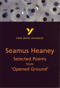 bokomslag Selected Poems from Opened Ground: York Notes Advanced everything you need to catch up, study and prepare for and 2023 and 2024 exams and assessments
