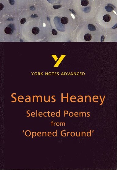 bokomslag Selected Poems from Opened Ground (York Notes Advanced) English Literature Study Guide - for 2026, 2027 exams