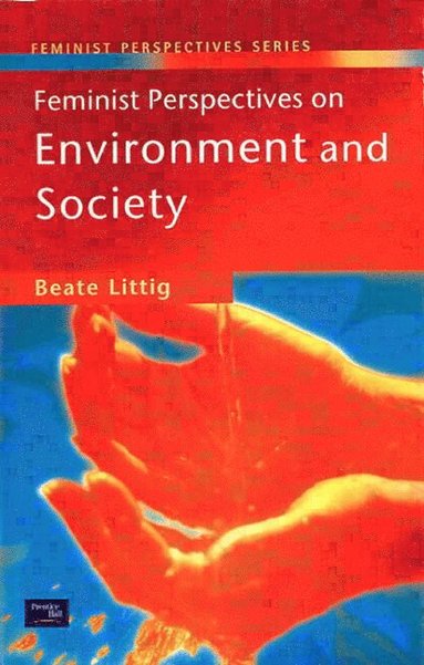 bokomslag Feminist Perspectives on Environment and Society