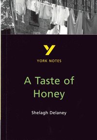 bokomslag A Taste of Honey everything you need to catch up, study and prepare for and 2023 and 2024 exams and assessments