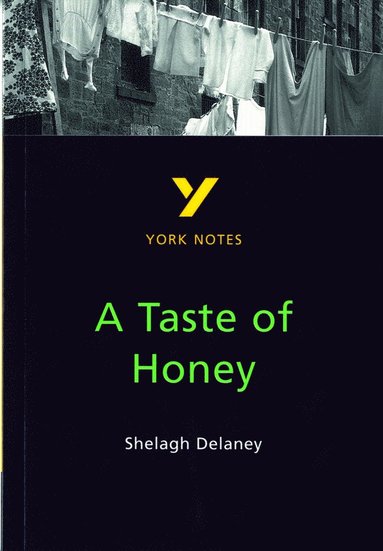 bokomslag A Taste of Honey York Notes GCSE English Literature Study Guide - for 2026, 2027 exams