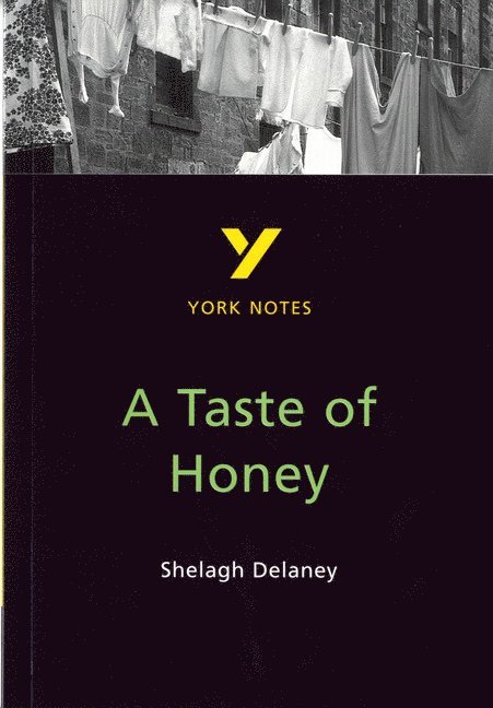 A Taste of Honey everything you need to catch up, study and prepare for and 2023 and 2024 exams and assessments 1
