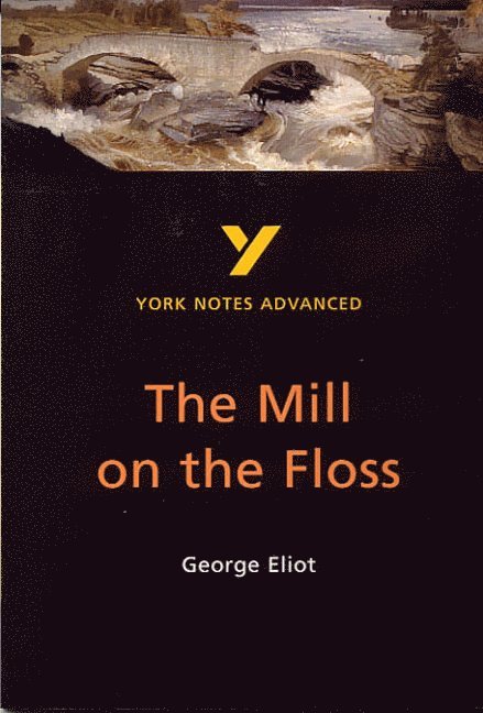The Mill on the Floss everything you need to catch up, study and prepare for and 2023 and 2024 exams and assessments 1