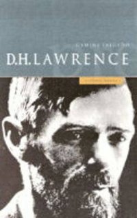 bokomslag A Preface to Lawrence