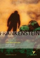 bokomslag Frankenstein: York Notes GCSE - for 2026, 2027 exams