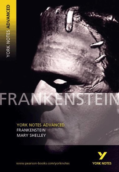 Mary Shelley - YNA2 Frankenstein everything you need to catch up, study and prepare for the 2027, 2028 exams, Häftad