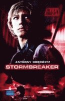 bokomslag Stormbreaker