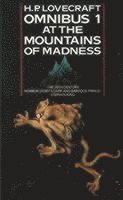 At the Mountains of Madness and Other Novels of Terror 1