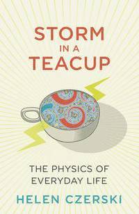 bokomslag Storm in a teacup - the physics of everyday life