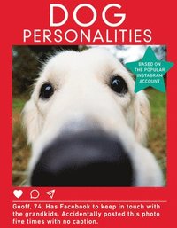 bokomslag Dog Personalities