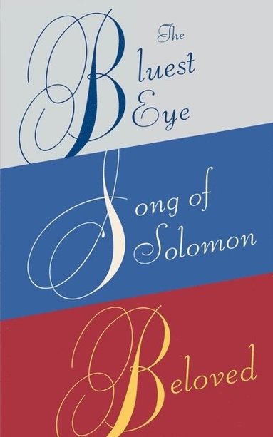 bokomslag Toni Morrison Box Set: The Bluest Eye, Song of Solomon, Beloved