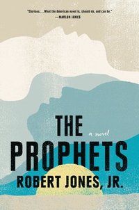 bokomslag Prophets