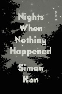 bokomslag Nights When Nothing Happened