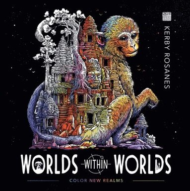 bokomslag Worlds Within Worlds