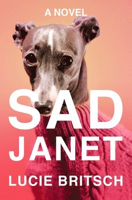 bokomslag Sad Janet