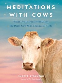 bokomslag Meditations with Cows