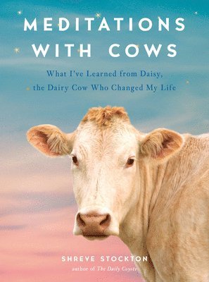 Meditations With Cows 1