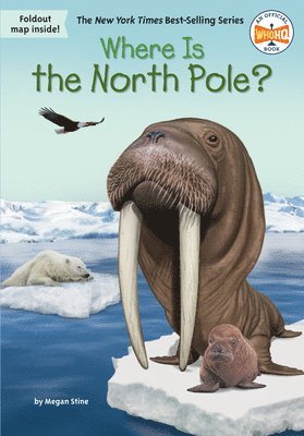 bokomslag Where Is The North Pole?