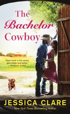 bokomslag Bachelor Cowboy