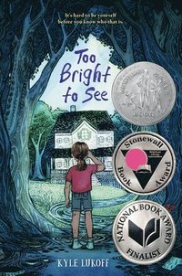 bokomslag Too Bright to See: (Newbery Honor Award Winner)