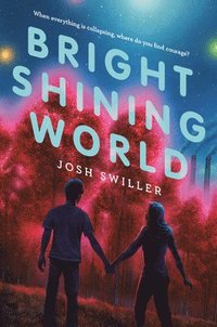 bokomslag Bright Shining World