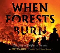 bokomslag When Forests Burn: The Story of Wildfire in America