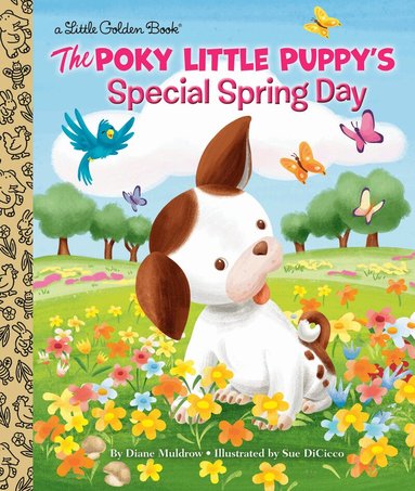 Diane Muldrow, Sue DiCicco - Poky Little Puppy's Special Spring Day, Inbunden