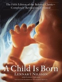 bokomslag A Child Is Born