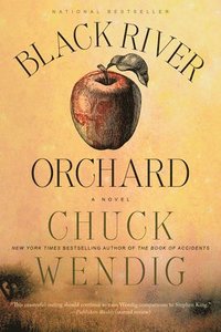 bokomslag Black River Orchard: A Novel