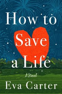 bokomslag How To Save A Life