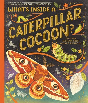 bokomslag What's Inside a Caterpillar Cocoon?: And Other Questions about Moths & Butterflies
