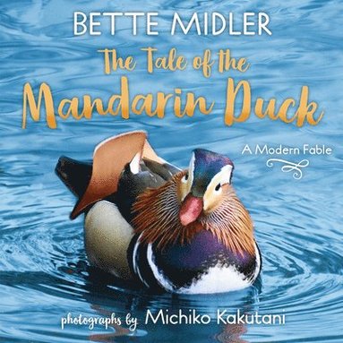 bokomslag The Tale of the Mandarin Duck