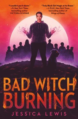 Bad Witch Burning 1