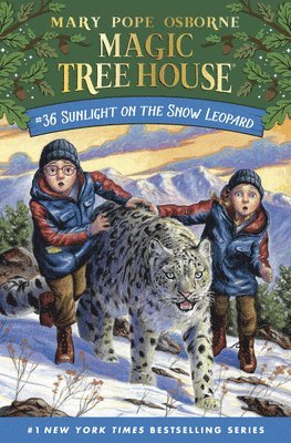 Mary Pope Osborne, A.G. Ford, A. G. Ford - Sunlight on the Snow Leopard, Inbunden