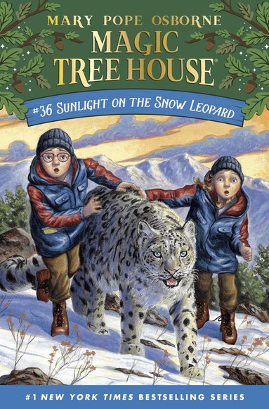 Mary Pope Osborne - Sunlight on the Snow Leopard, Häftad