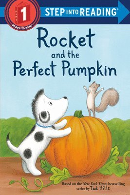 Rocket and the Perfect Pumpkin 1