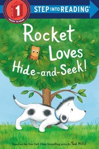 bokomslag Rocket Loves Hide-and-Seek!