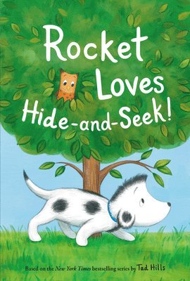 Rocket Loves Hide-and-Seek! 1